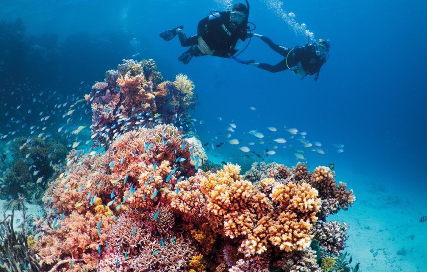Discover Marsa Alam Coral Reef Snorkeling Sea Trip with Lunch – Marsa Alam